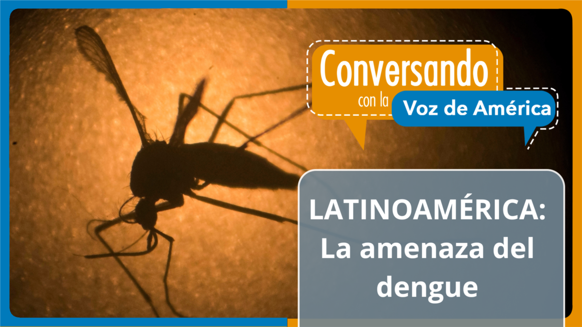 Am Rica Latina En Alerta Roja Por El Aumento R Cord De Casos De Dengue