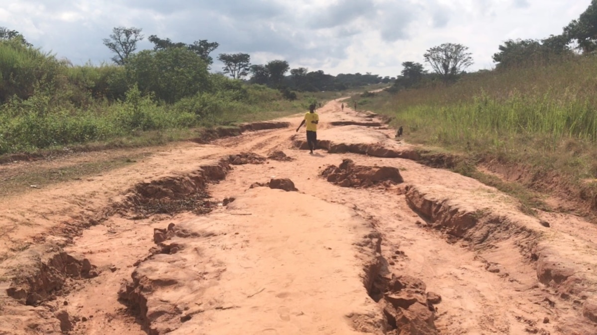 Milhares de toneladas de produtos agrícolas apodrecem nos campos de Angola