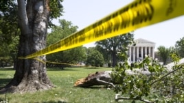 Un árbol caído en los jardínes de enfrente del edificio de la Corte Suprema, en Washington DC, donde miles de personas aún carecen de electricidad este domingo , luego de las violentas tormentas veraneras que azotaron el viernes la capital de la nación.