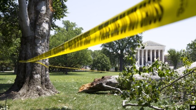 Un árbol caído en los jardínes de enfrente del edificio de la Corte Suprema, en Washington DC, donde miles de personas aún carecen de electricidad este domingo , luego de las violentas tormentas veraneras que azotaron el viernes la capital de la nación.