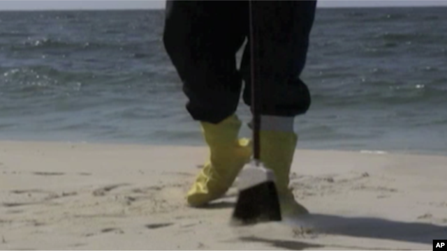 A volunteer sweeps oil from a beach in Florida