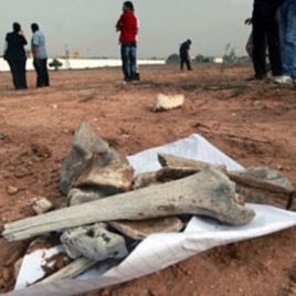 Bones pictured at the scene of a mass grave in Tripoli, September 25, 2011.