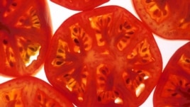 La tomate, surtout cuite, recommandée pour éviter les AVC 