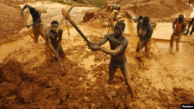 Artisanal miners dig for gold in an open-pit concession near Dunkwa, western Ghana, February 15, 2011. 