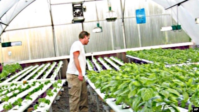 After three tours of duty in Iraq, Marine Sgt. Colin Archipley established Archi's Acres, which helps ease combat veterans back into society in a productive way.