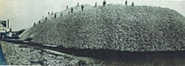 In the 1880s, Chesapeake Bay watermen hauled in 15 million bushels of oysters to meet national demand.
