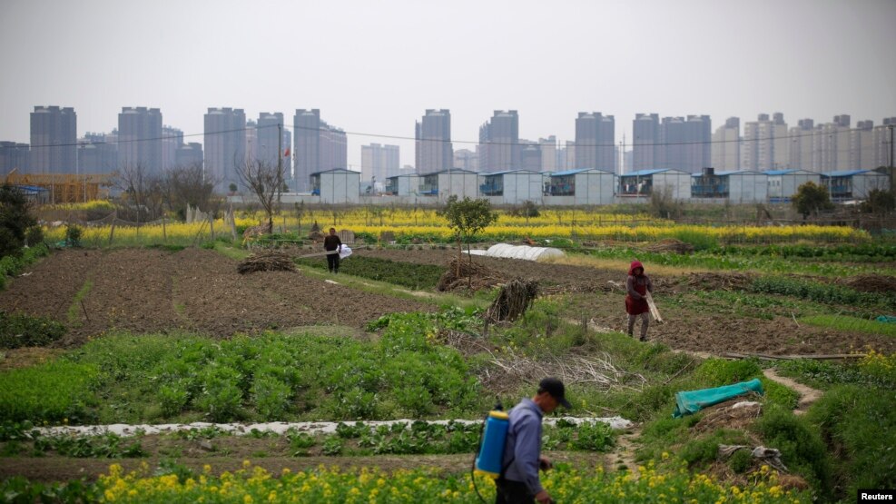 上海居民楼建筑工地附近的农田（2016年3月21日）