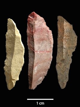 These microlith blades show a flat edge with a rounded "cutting" edge. (Photo: Simen Oestmo)