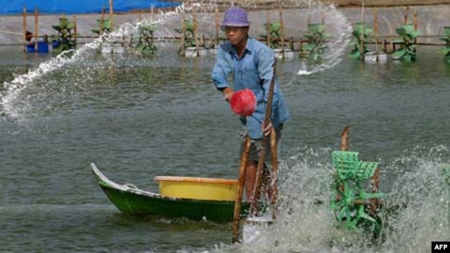Tại vùng đồng bằng sông Cửu long, hạn hán gây ra tình trạng ngập mặn, gây thiệt hại cho mùa màng và làm tăng độ mặn của nguồn cung cấp nước sinh hoạt.
