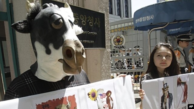 South Korean animal rights activists stage a campaign against import of U.S. beef in front of the government complex in Seoul, South Korea, May 2, 2012.