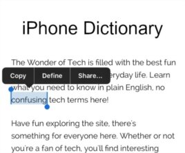 iPhone Dictionary