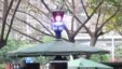 重庆街头随处可见的交巡警平台