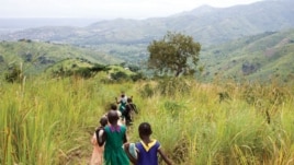 Children walking near the forest landscape restoration nursery in Kasese District, Rwenzori Mountains, Uganda. (AfDB)