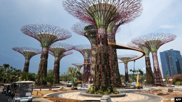 'Siêu cây' trong công viên 'Gardens by the Bay' ở Singapore