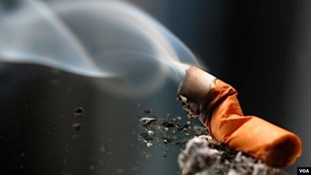 El consumo de tabaco es la segunda causa mundial de muerte y de que fallezcan uno de cada diez adultos.