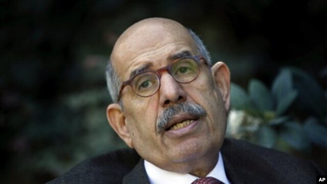 FILE - In this Saturday, Feb. 27, 2010 file photo, former U.N. nuclear chief Mohamed el Baradei talks during an interview with the Associated Press at his house in the outskirts of Cairo, Egypt. An Egyptian official says the country’s top prosecutor has o