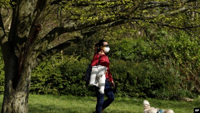 Una persona pasea su mascota usando una máscara facial en Regent's Park, Londres, donde los parques permanecen abiertos con la advertencia de que se cerrarán si la gente no cumple con las pautas del gobierno británico que incluyen dos metros de distancia social entre las personas.