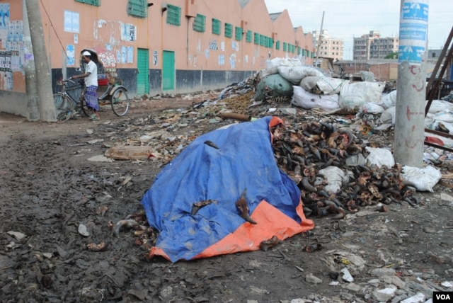 Discarded animal horns lie piled in the street in Hazaribagh, a residential neighborhood. (A. Yee/VOA)