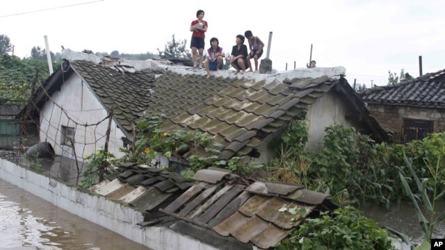 Cư dân leo lên mái nhà để tránh lũ, thành phố Anju, tỉnh Nam Phyongan, Bắc Triều Tiên