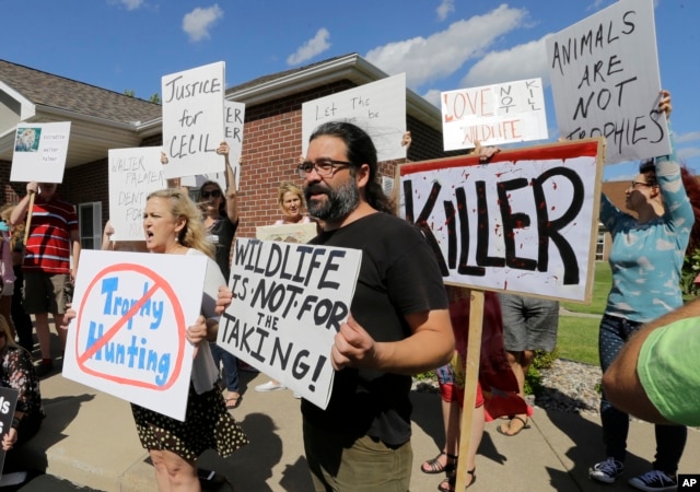 Protestors gather outside Dr. Walter James Palmer's dental office in Bloomington, Minn., Wednesday, July 29, 2015.