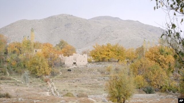 Before the Taliban took control in 1996, the people of Shomali relied on their harvest for food.  It is not like it was in the past, but they say their morale is high and they are hopeful.