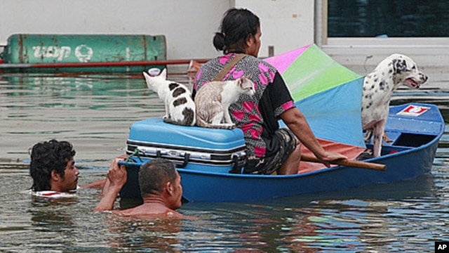 A woman and her pets are transported on a boat as she evacuates from flooding in Ayutthaya province, central Thailand, Sunday, October 9, 2011.