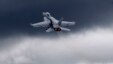 FILE - A F-18 fighter jet flies in display during Farnborough International Airshow, Farnborough, England.