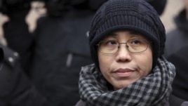 Liu Xia, the wife of Chinese dissident Liu Xiaobo, talks to the media in Beijing February 11, 2010. 