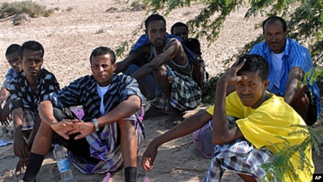 Ethiopian refugees rest in the shade of a desert tree near the southeastern Yemeni town of Ahwar, one day after they reached the Yemeni coast on smugglers boats, October 14, 2008 (file photo)