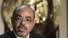Ethiopian Prime Minister Meles Zenawi (file photo)