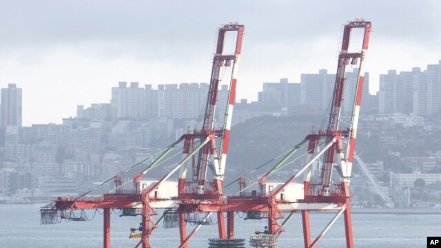 Scene at Busan, South Korea's biggest and the world's No. 5 container port (file photo)
