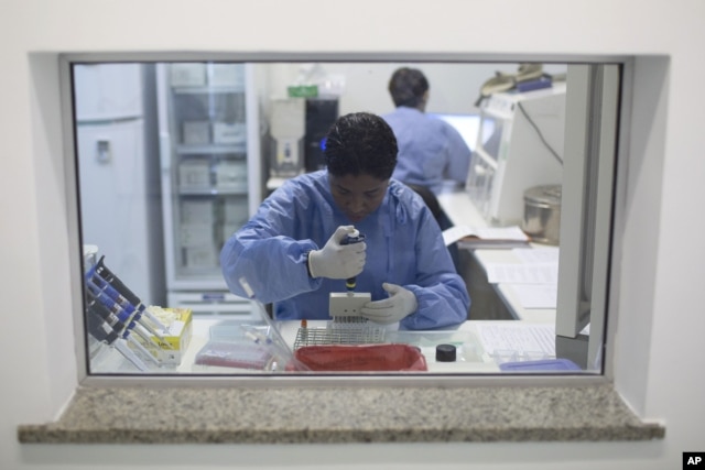 FILE - A graduate student analyzes samples to identify the Zika virus in a laboratory at the Fiocruz institute in Rio de Janeiro, Brazil, Jan. 22, 2016.