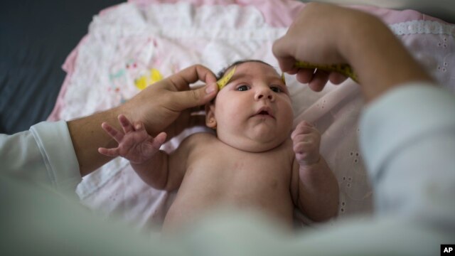 La cabeza de una bebé llamada Luiza es medida luego de que naciera con microcefalia, causada por el virus del Zica.
