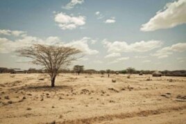 Kenya's Turkana region shows effects of severe drought affecting the Horn of Africa.