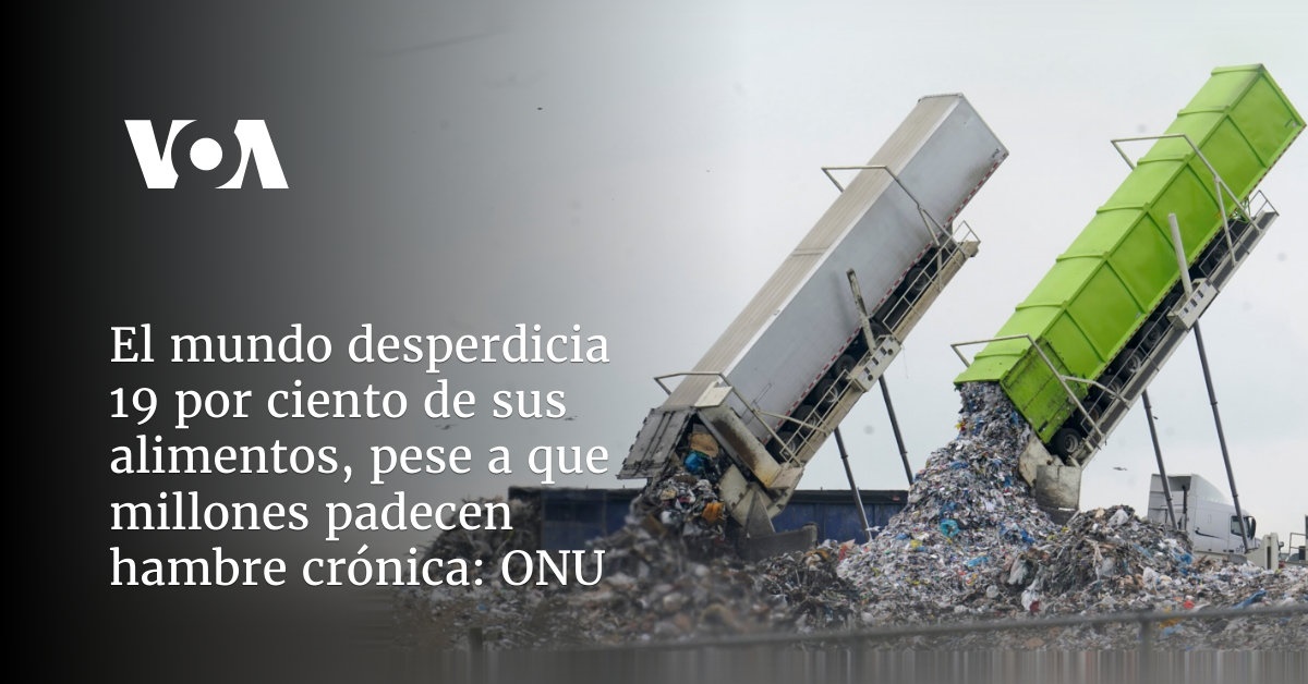 El Mundo Desperdicia Millones De Toneladas De Alimentos Cada A O Dice