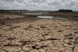 This photo shows the fast-drying catchment area of the Umzingwani dam in Matabeleland, southwestern Zimbabwe, Feb. 7, 2016. President Robert Mugabe had declared a state of disaster two days earlier in many rural areas hit by a severe drought.