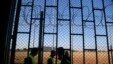 Guards walk past a razor wire fence securing a former prison in Drahonice, Czech Republic, Friday, Oct. 2, 2015. Anticipating a possible influx of migrants in the country, the Czech Republic is turning the prison into a new detention center for up to 240 of them.
