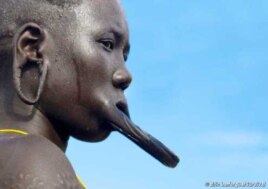 The most well-known of the Omo River tribes are the Mursi, whose women use plates to extend their lips