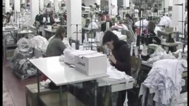 Problemi i punësimit në rajonin e Shkodrës