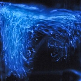The flickering glow comes from thousands of live single-celled organisms called dinoflagellates. Tiny particles in each cell contain chemicals that mix and make light when the water is shaken or stirred.