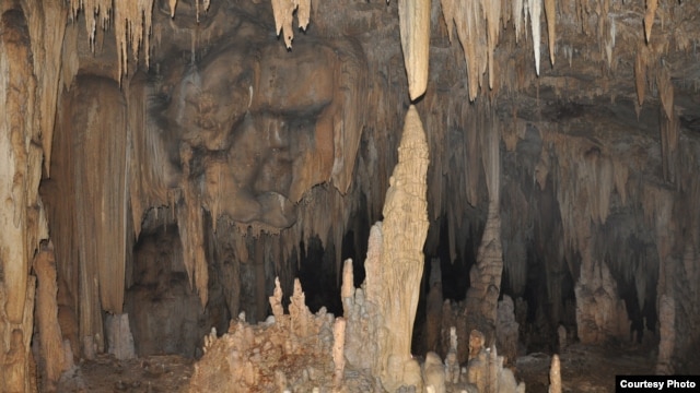 Stalakmit di gua Yok Balum memberikan kesempatan bagi peneliti untuk mempelajari catatan curah hujan. (Foto: Douglas Kennett, Penn State)