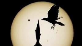 A reflection of Venus passing the sun is projected on paper Wednesday at the University of Bahrain