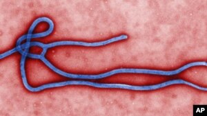 Ebola-CDC brief