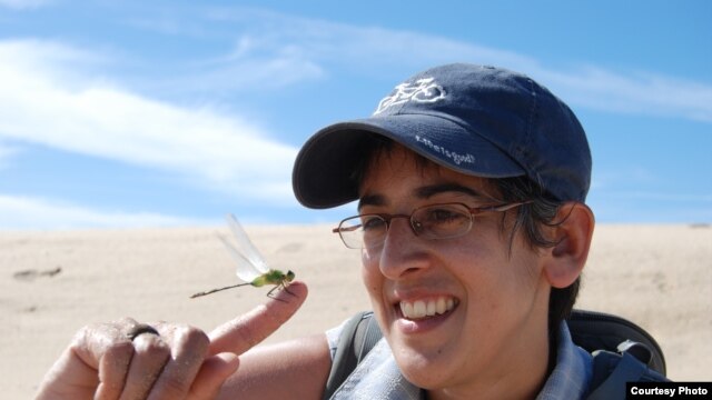 University of British Columbia ecologist Diane Srivastava, with a damselfly, an insect often used as an indicator species for estimating biodiversity and assessing ecosystem health. (T. Zulkoskey)