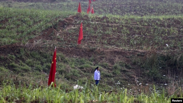 Nông dân trên đồng ruộng cắm cờ Trung Quốc ở Kokang, gần biên giới Myanmar, ngày 24/3/2015.