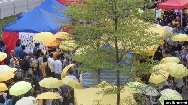 多个团体政总外纪念雨伞运动半周年（参与网图片）