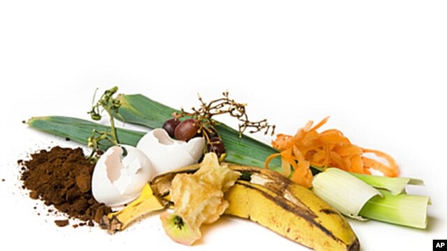 A Seattle company plans to recycle food into electricity.