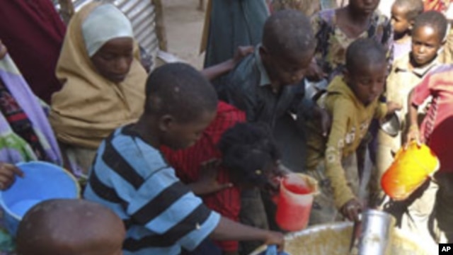 Children from southern Somalia get cooked food at a local NGO's compound in Mogadishu, Somalia, Sept.14, 2011.