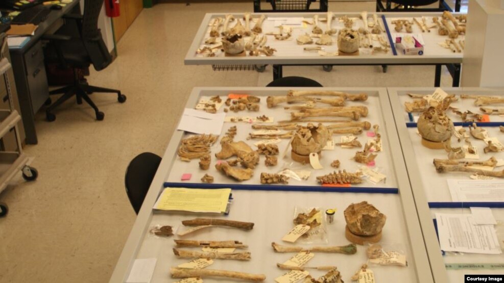 Ͽ̿ ִ   . Ȯα(DPAA) κ  ̱  ſ Ȯ ۾  ̴.  :   K208 .