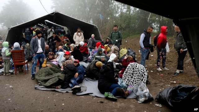 A group of migrants wait to cross a border line between Serbia and Croatia, near the village of Berkasovo, about 100 kilometers (62 miles) west of Belgrade, Serbia, Oct. 18, 2015.